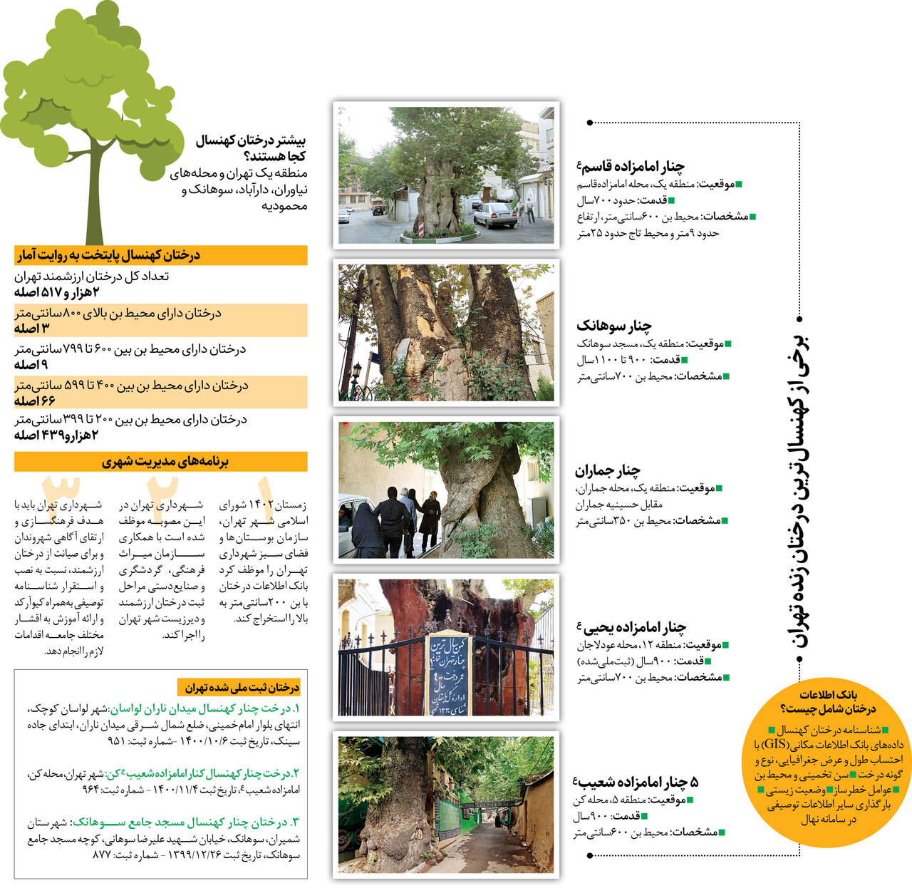 ۲۵۰۰ درخت ارزشمند پایتخت تحت مراقبت ویژه