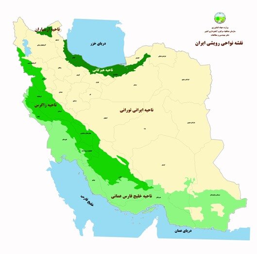 مرگ سالانه ۶۳ هزار هکتار از جنگل های ایران |  نجات جنگل ها با مشارکت مردم محلی | آشنایی با ۵ عرصه جنگلی ایران