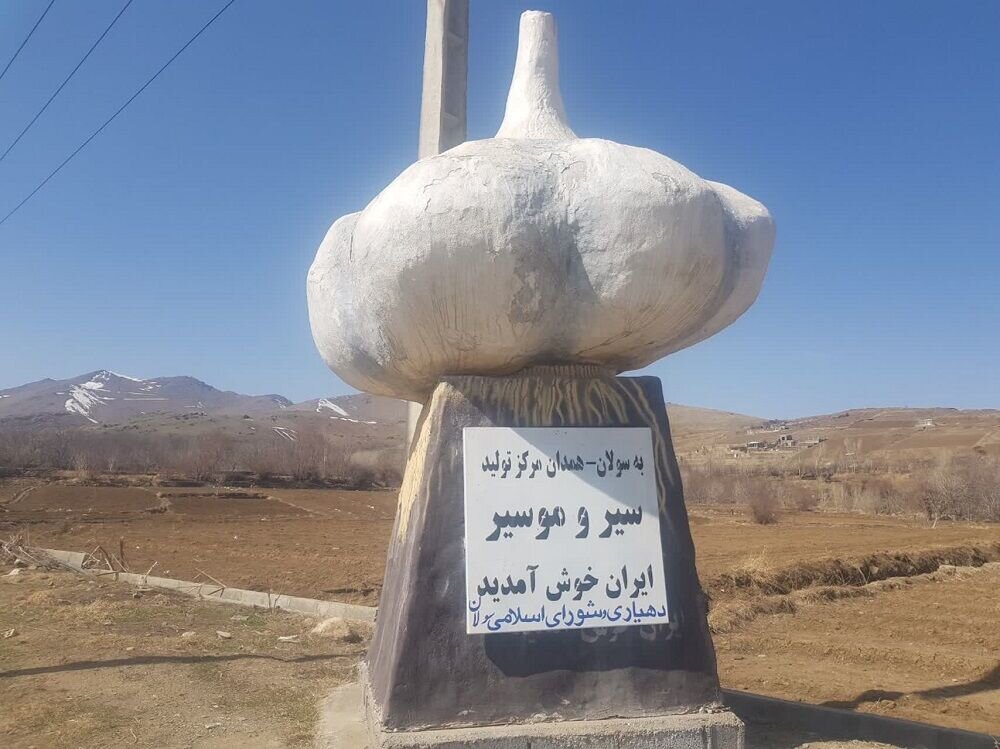 این شهر قطب سیر ایران است | پیشبینی تولید ۱۹۵۰۰ تن سیر!