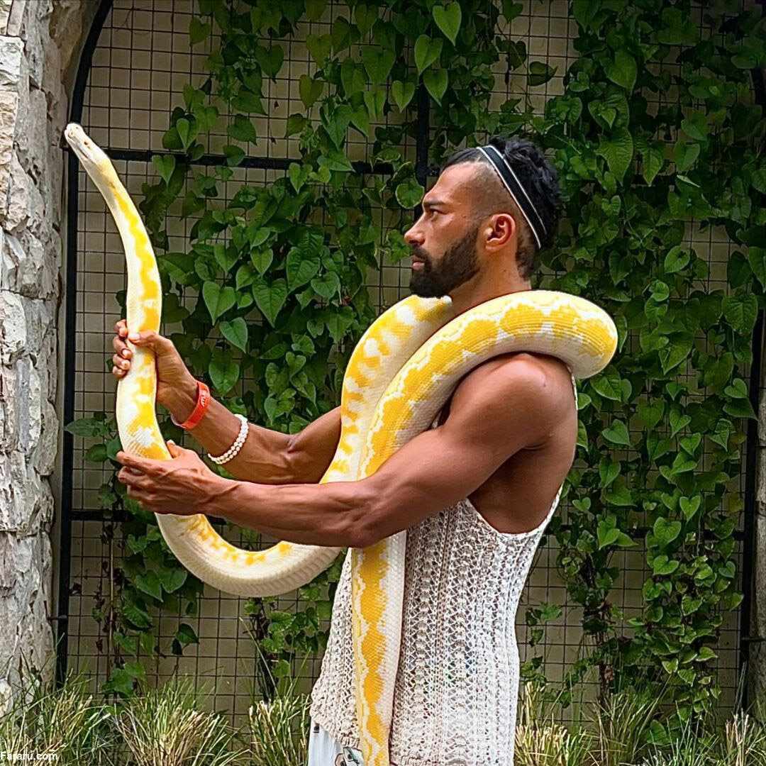 بازی رامین رضاییان با مار غولپیکر! | تصاویر