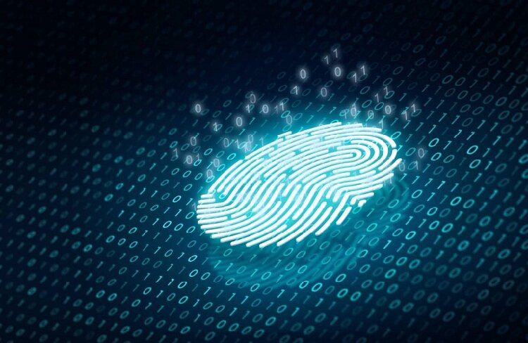 ۱۱ حقیقت درباره اثر انگشت | کدام حیوانات مانند ما اثر انگشت دارند؟