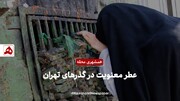 فیلم | عطر معنویت در گذرهای تهران