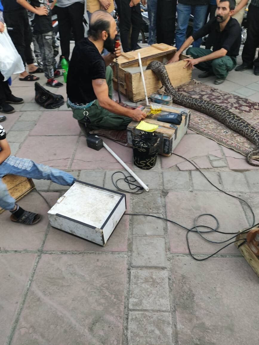 پارافین به قیمت روغن مار اصل!