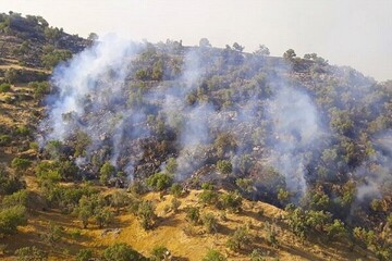 مهار آتش‌سوزی ۶ روزه جنگل‌های خائیز کهگیلویه و بویراحمد | علت آتش سوزی مشخص شد