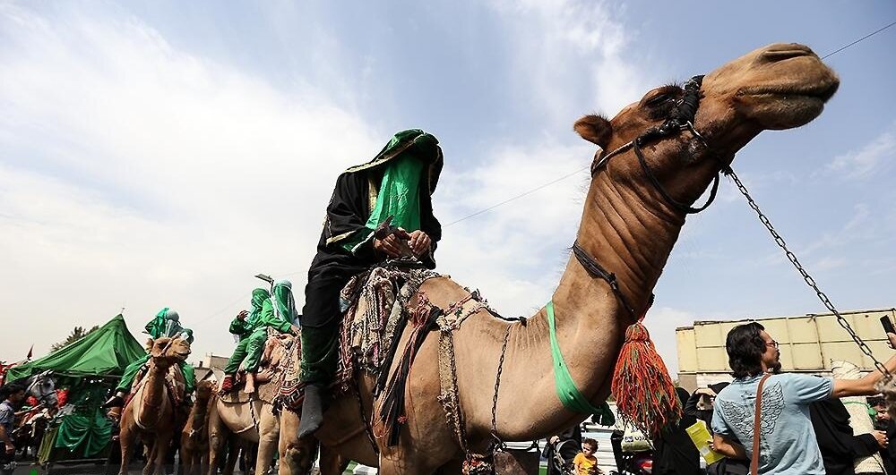شرط حضور اسب‌ها در تعزیه‌های ری چه بود؟ | نذر شتربان‌های باقرآباد در دهه اول محرم
