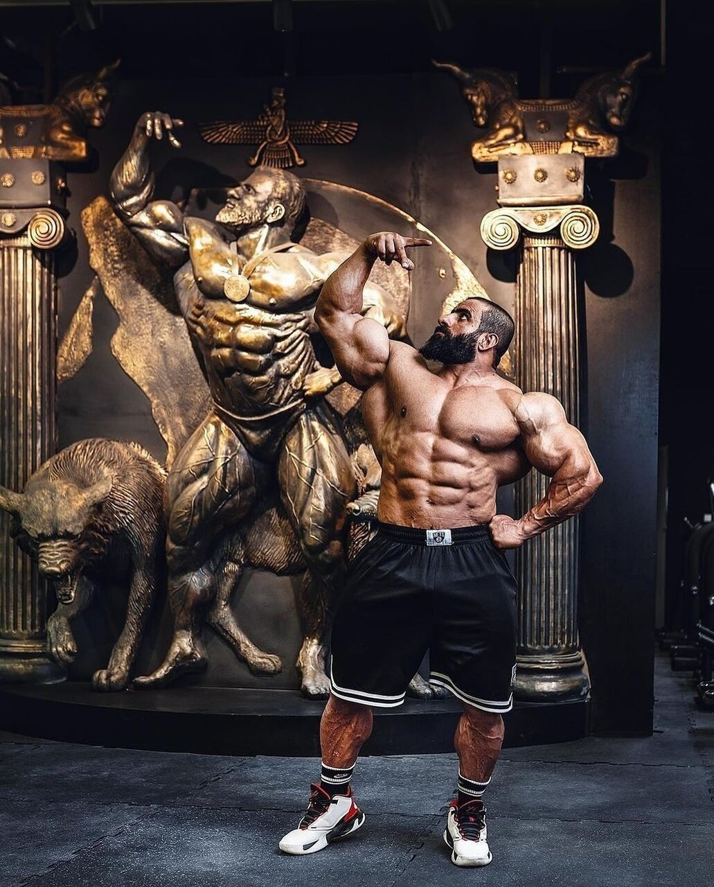 فیگور خاص هادی چوپان کنار تندیس گرگ پارسی | عکس