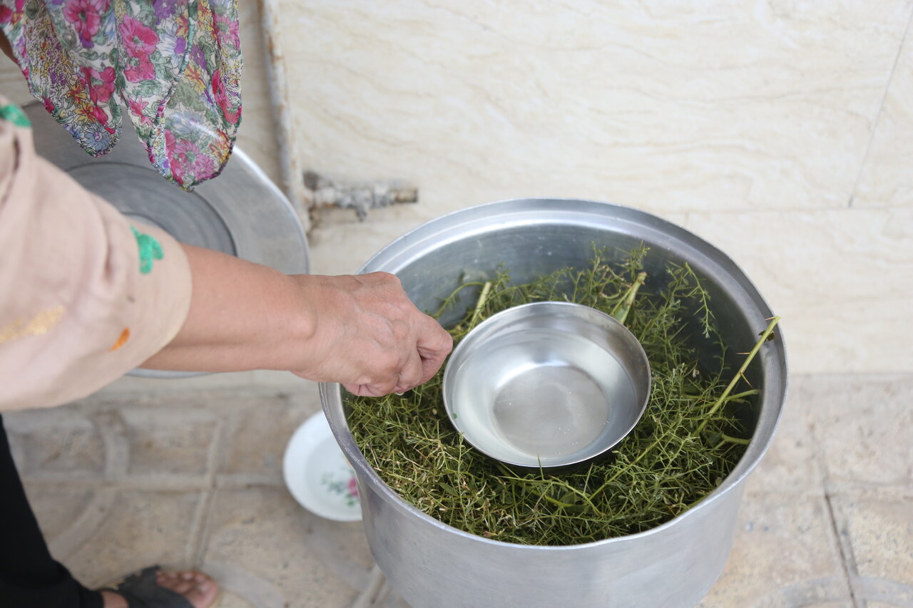 نسخه پیچان داروخانه طبیعی در سون آباد