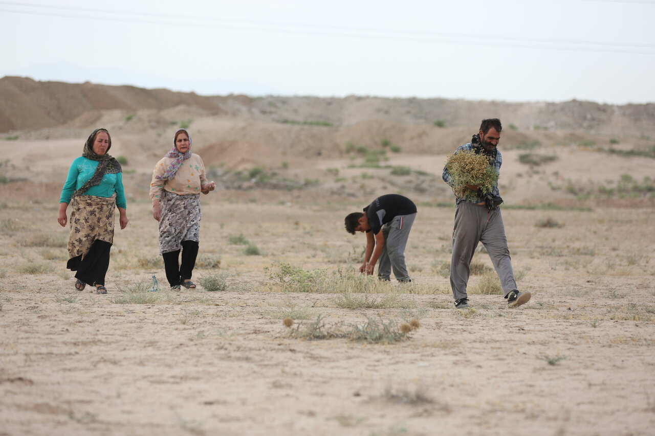 نسخه پیچان داروخانه طبیعی در سون آباد