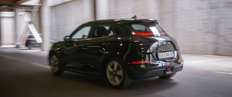 تصاویر | گربه شیک چینی در اروپا