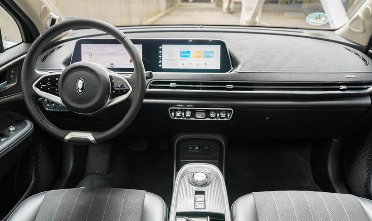 تصاویر | گربه شیک چینی در اروپا