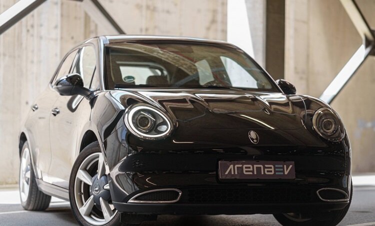 تصاویر | گربه شیک چینی در اروپا