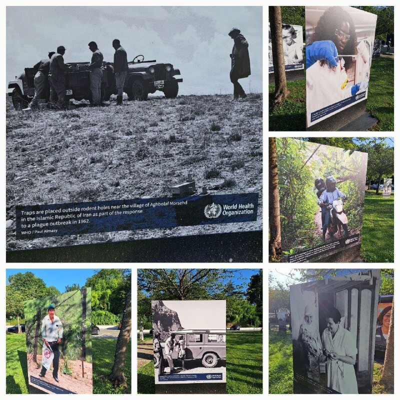 ایران الگوی تاریخی سلامت جهانی