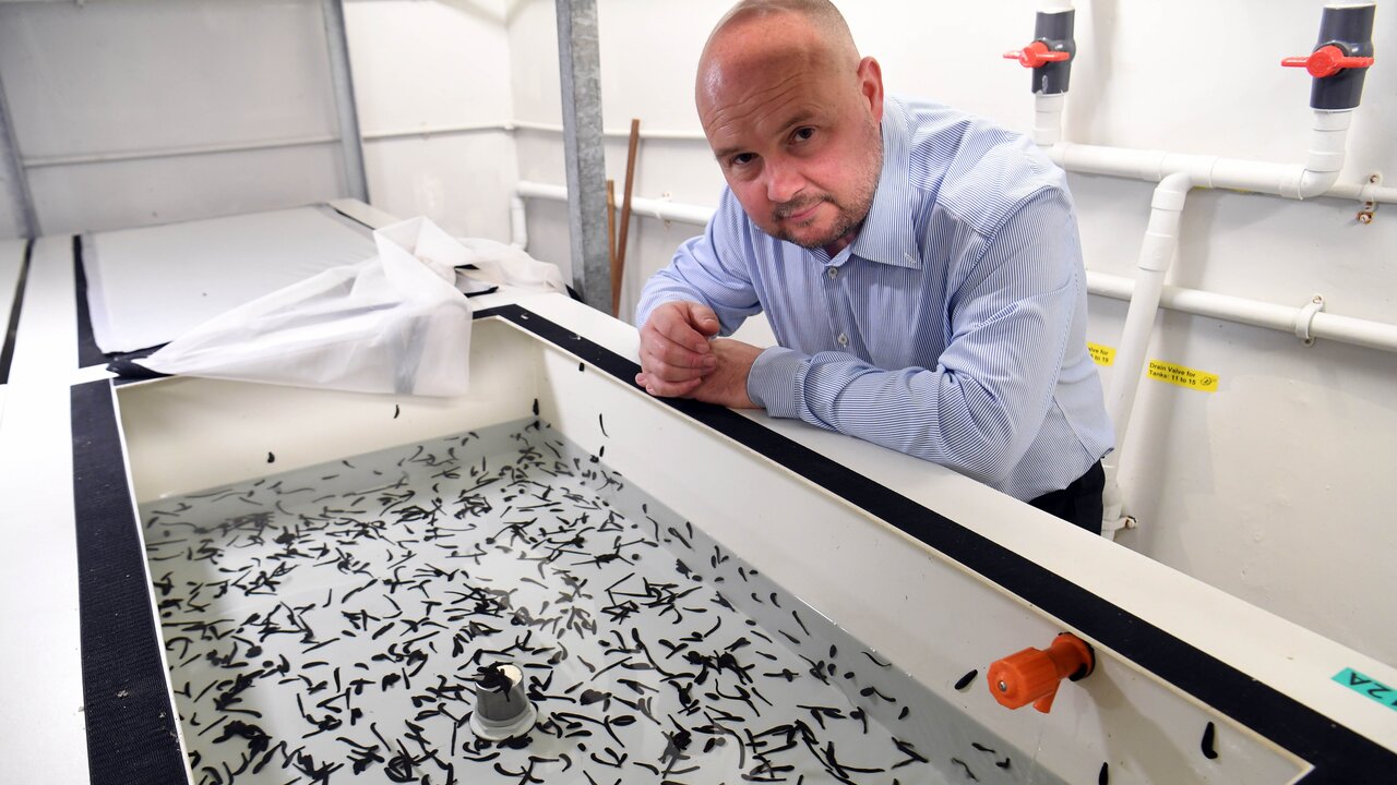 زالوهای ثروت آفرین