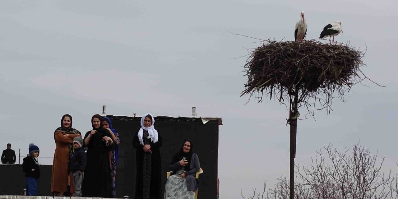 در مریوان، فسنجان لک لک پخته نمیشود