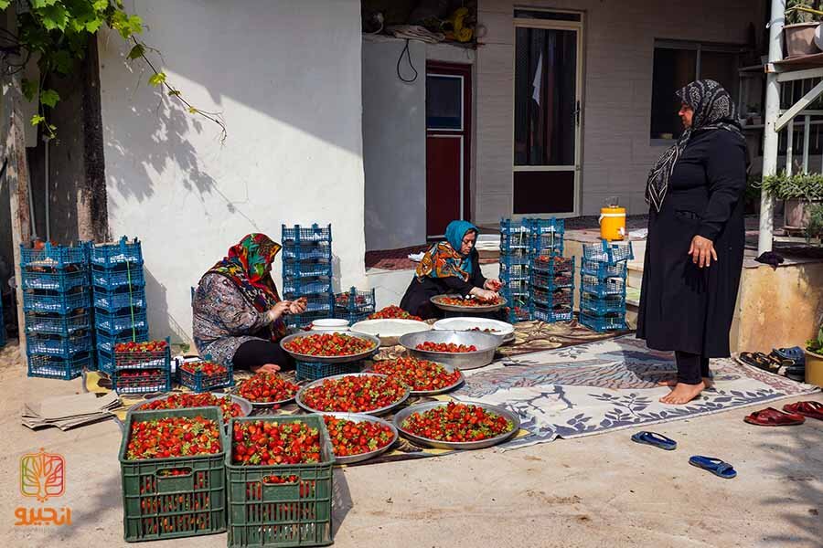 صفر تا ۱۰۰ استفاده از وام مشاغل خانگی | چه کسانی می توانند از این وام استفاده کنند؟