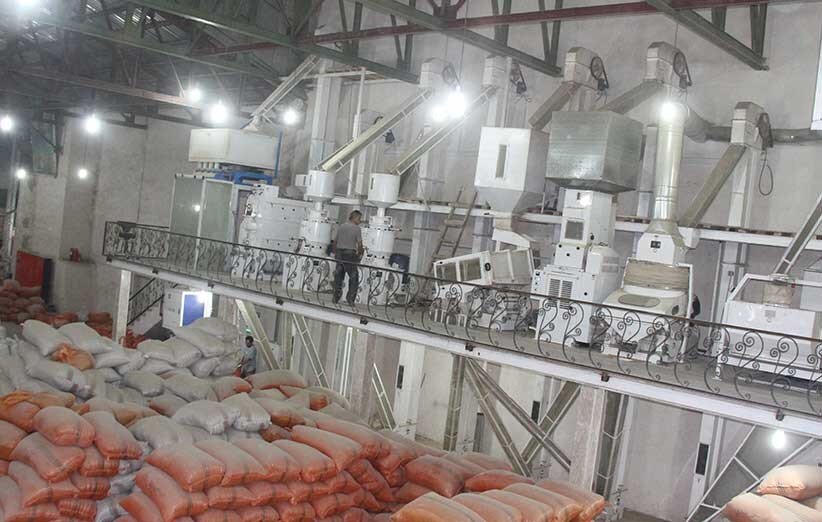 کارگاه های شالیکوبی نونوار می شوند | راه و رسم شالیکوبی در قدیم چه بود؟