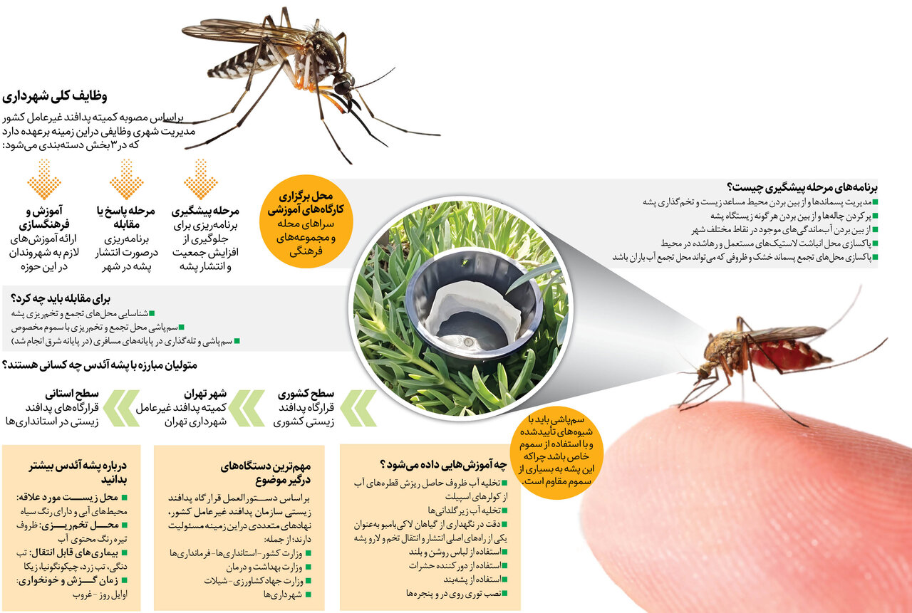 تهران تب دنگی ندارد