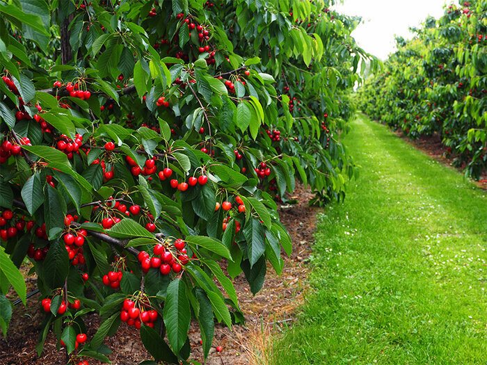 تابستان را دریابید! | همه چیز برای گذراندن یک تابستان جذاب