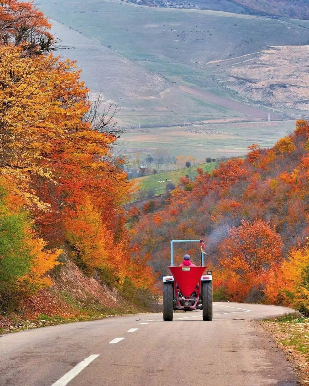 این بهشت در دل جنگل های هیرکانی است + بهشت چهارفصل سنگده