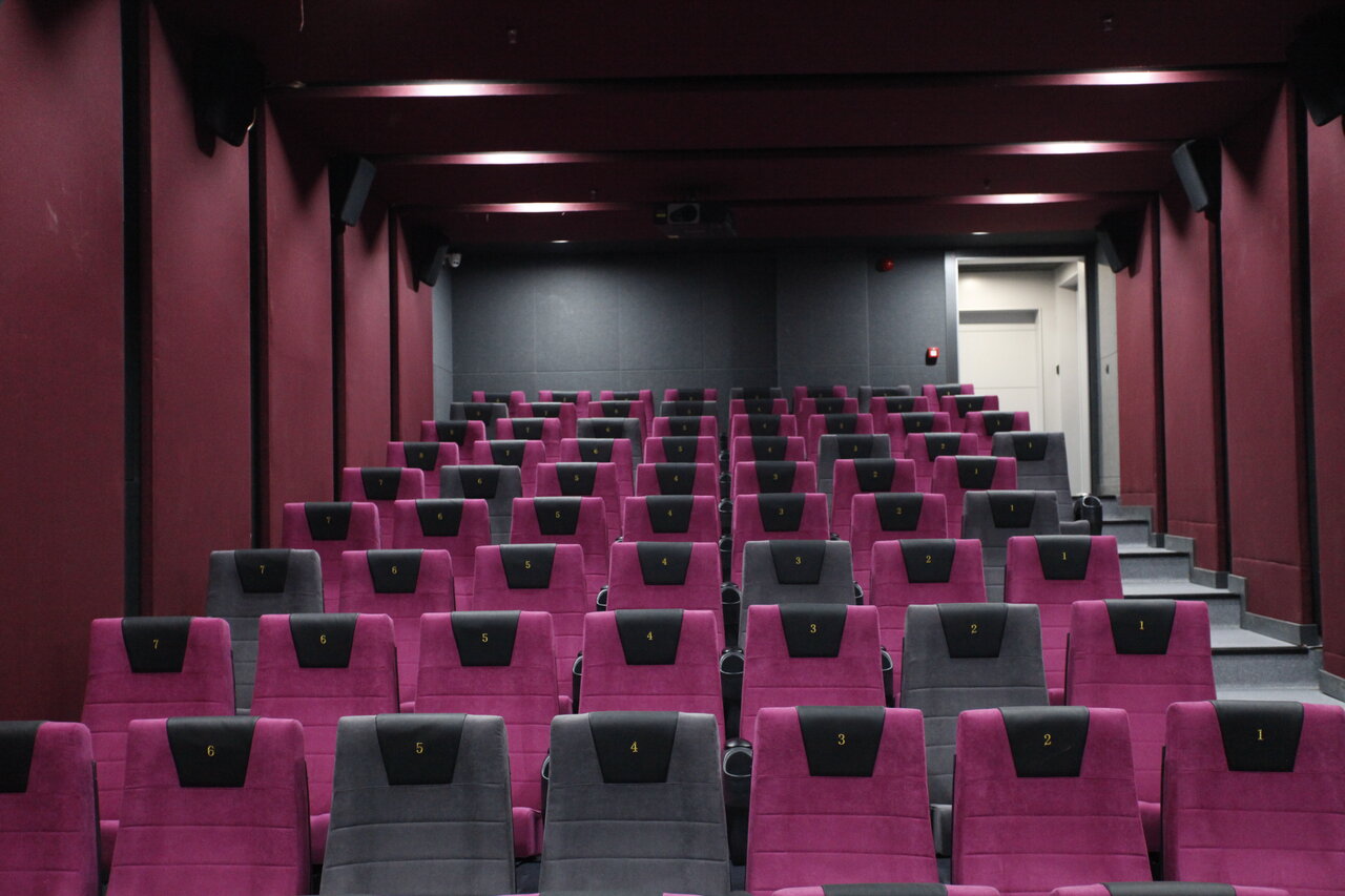 هم تماشای فیلم و هم تفریح