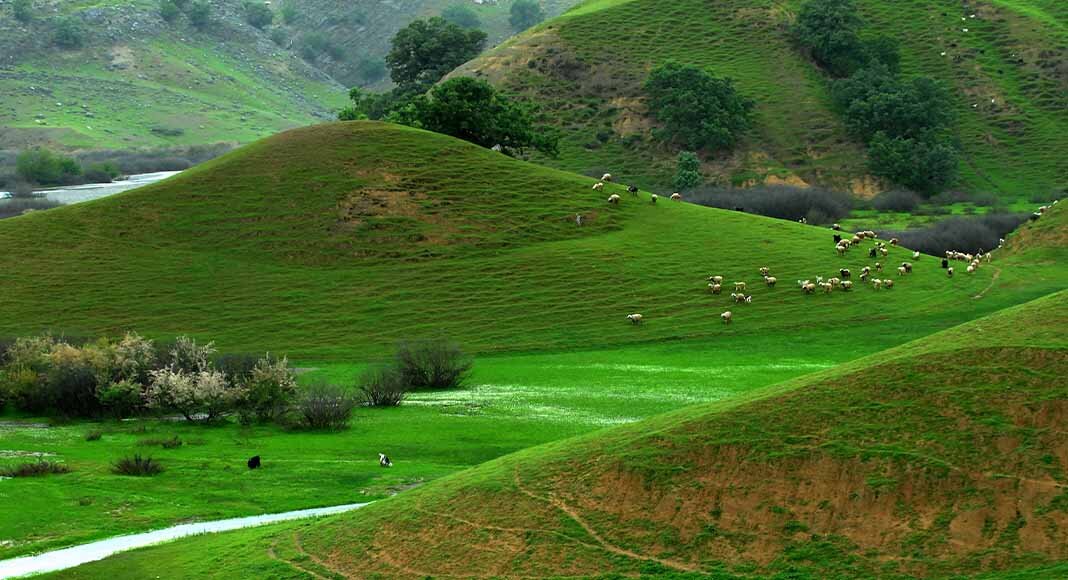 خنک ترین مقاصد گردشگری در ایران کدامند؟