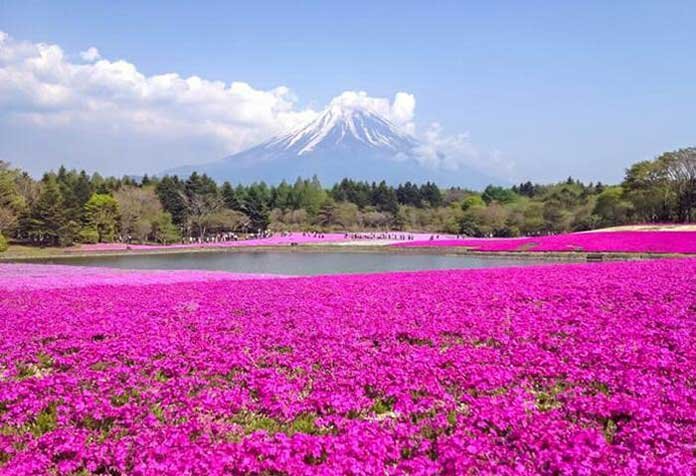 خنک ترین مقاصد گردشگری در ایران کدامند؟