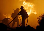 تصاویر آتش‌سوزی مهیب در جنگل‌های کالیفرنیا | ویدئو