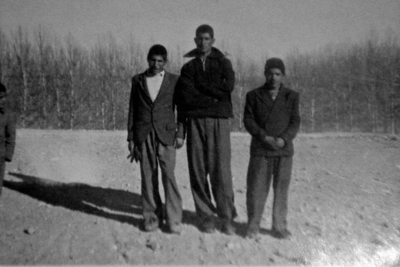 روزگار باغهای یوسفآباد و عطر شکوفهها | آهای توت تره، نقل تره!