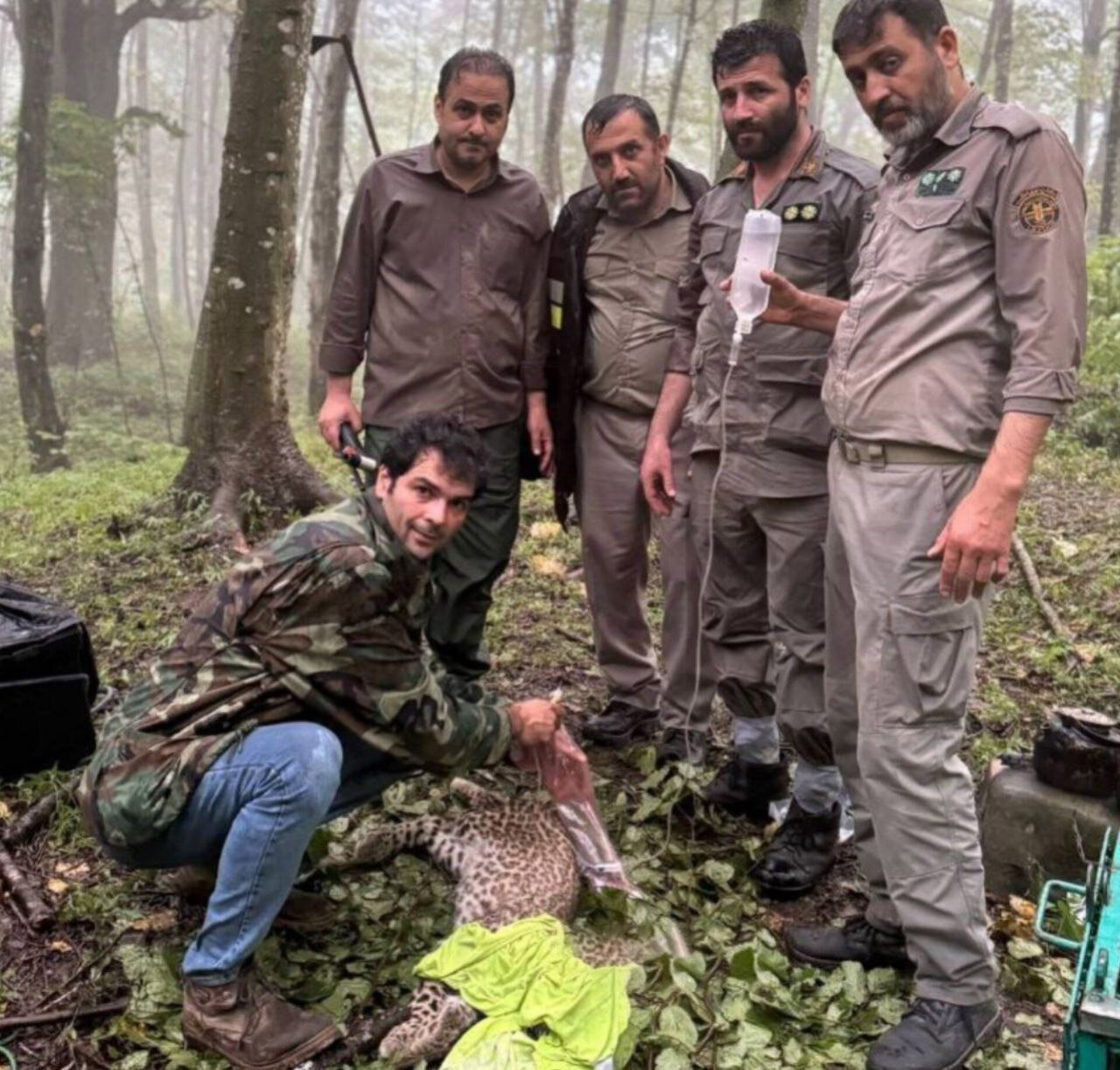 نجات یک توله پلنگ از چاه در نکا | تصاویر