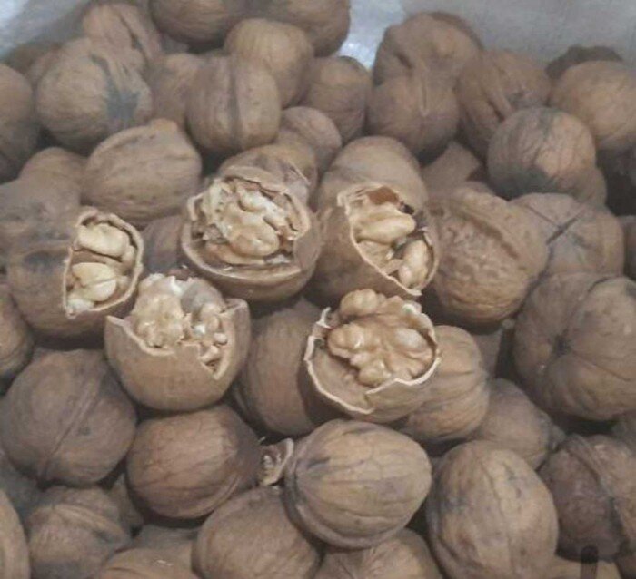 فروش عجیب میوههای تابستانی در تهران قدیم | آهای بدو، فالی پن زار!