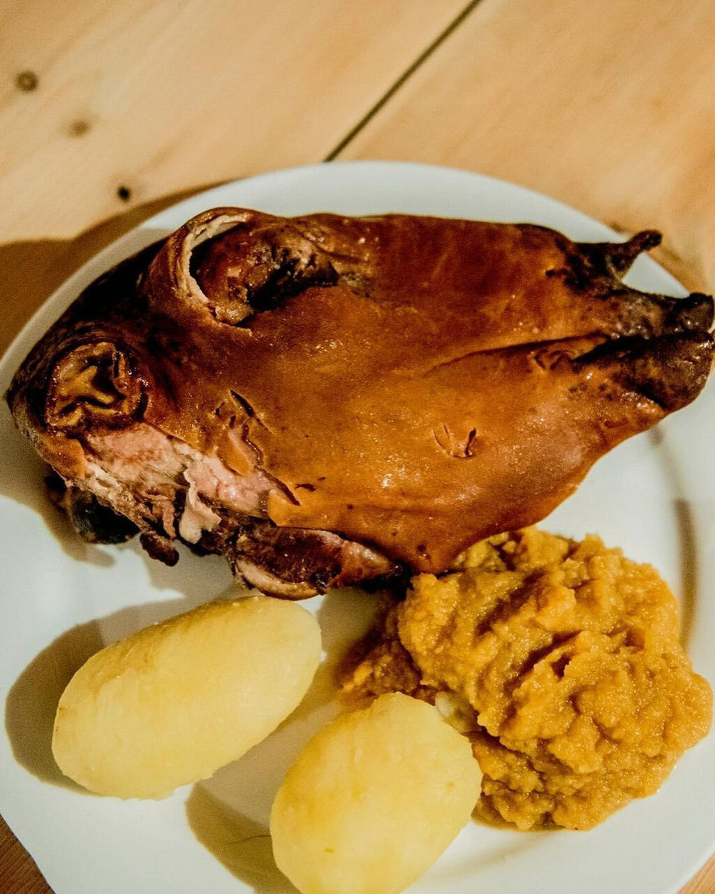 کلهپاچهخوری سفیر نروژ در تهران در آخرین روز کاری | تصاویر