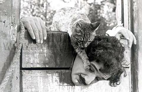 ۵ نقش ماندگار مهدی هاشمی | روایتهای از بیش از نیمقرن حضور در سینما