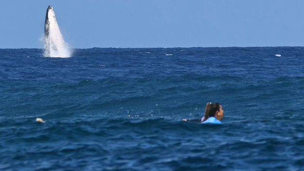 نهنگ؛ مهمان ناخواسته موج‌سواری زنان المپیک + عکس
