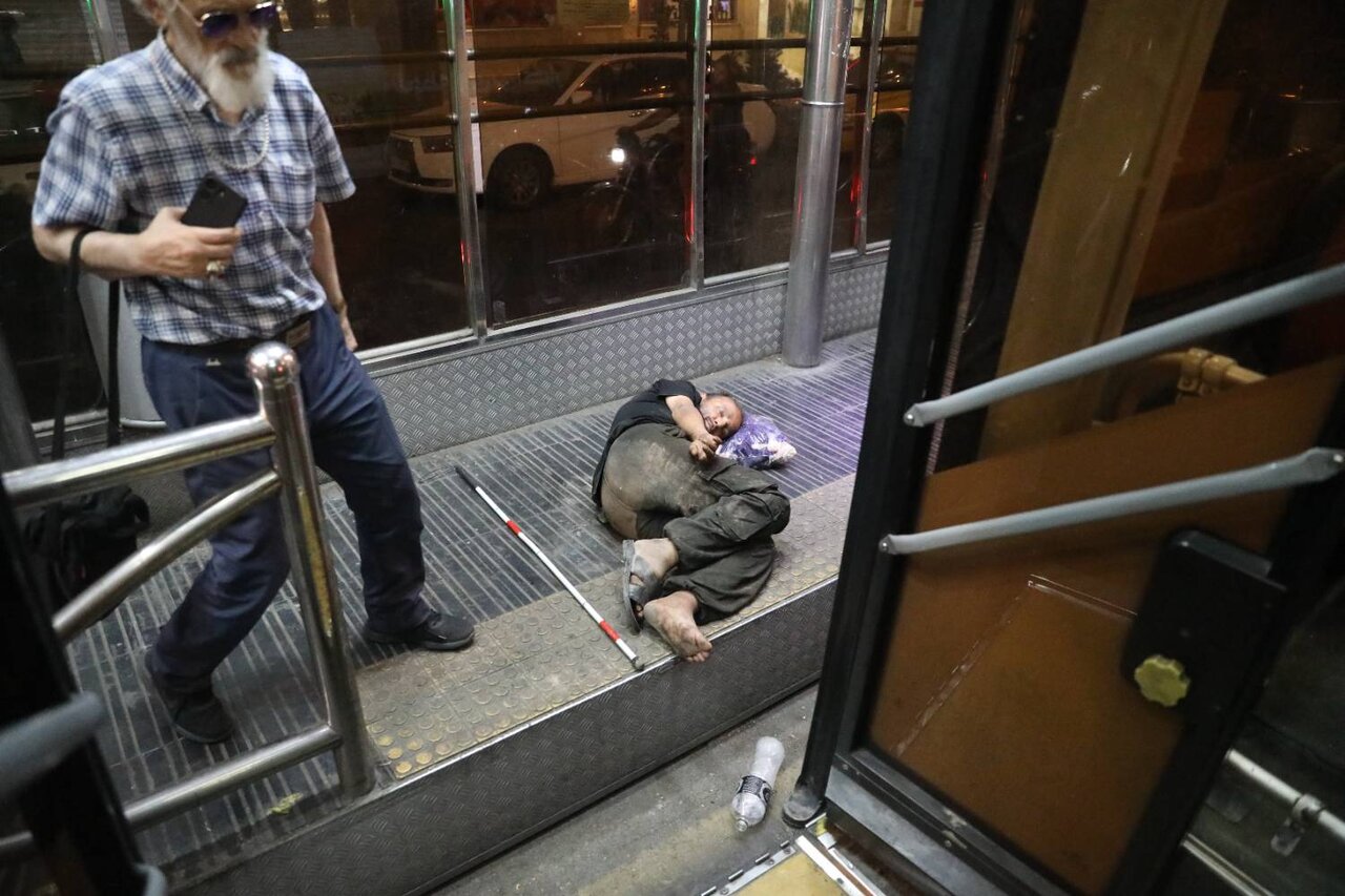 شوفران شبدیزهای شبرو