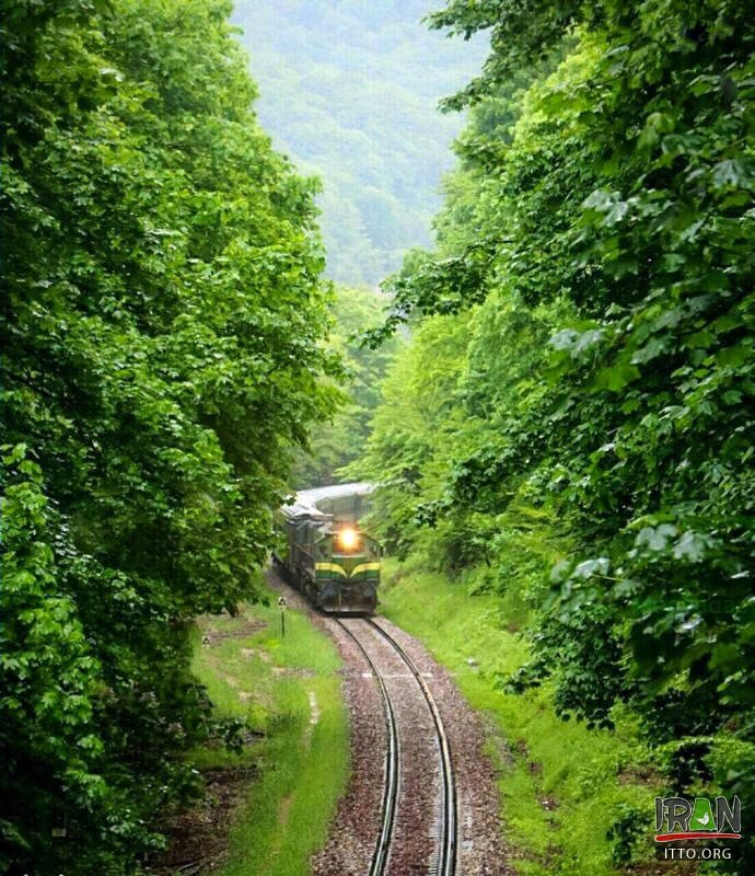 قطار میرود و تو میروی...!