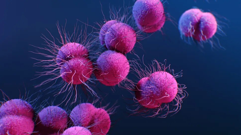 مراقب ابتلا به باکتریهای خطرناک باشید