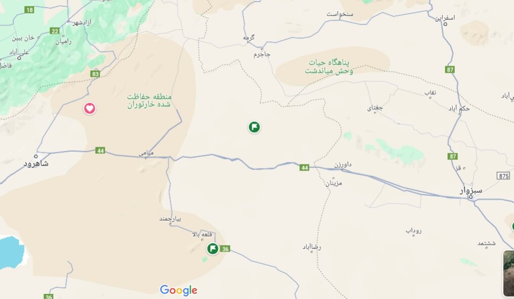 امسال چند یوزپلنگ از جلوی دوربینهای تلهای رد شدند؟