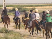 این اسب سواران از حرم تا حرم سوارکاری می‌ کنند | فیلم