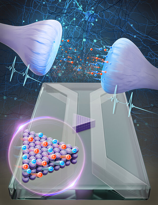 چگونه میتوان خاطرات را در مغز تغییر داد؟