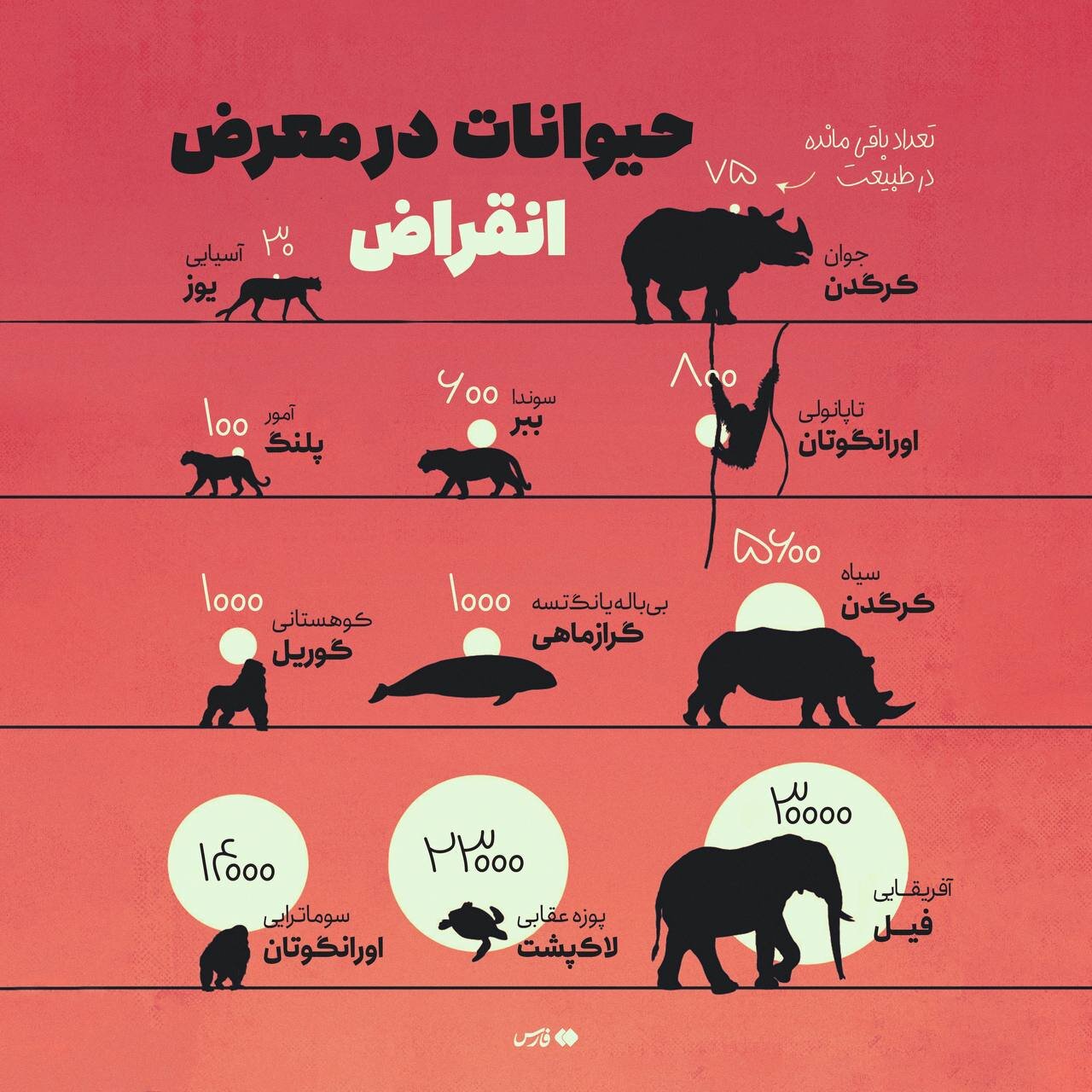 کدام حیوانات در معرض انقراض‌اند؟ | عکس