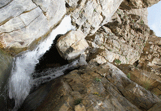 این چشمه منبع دوغ آبعلی است