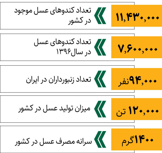 ظرفیت بالقوه ایران برای تولید عسل | آخرین آمار از میزان تولید عسل در ایران را ببینید