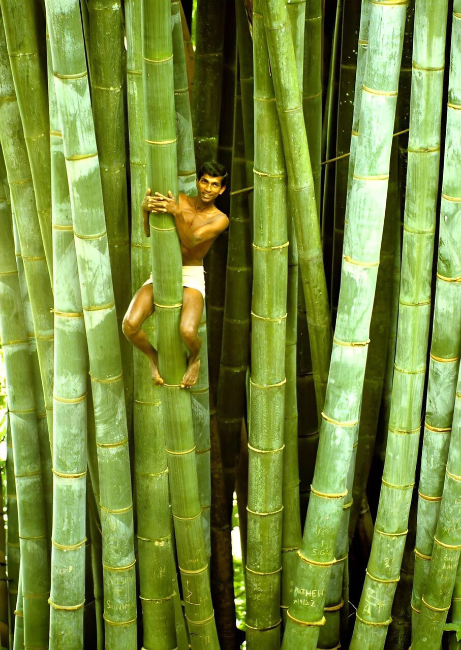 قطره در دریا | عکس هایی که ثابت میکنند ما بخش کوچکی از زندگی در زمین هستیم