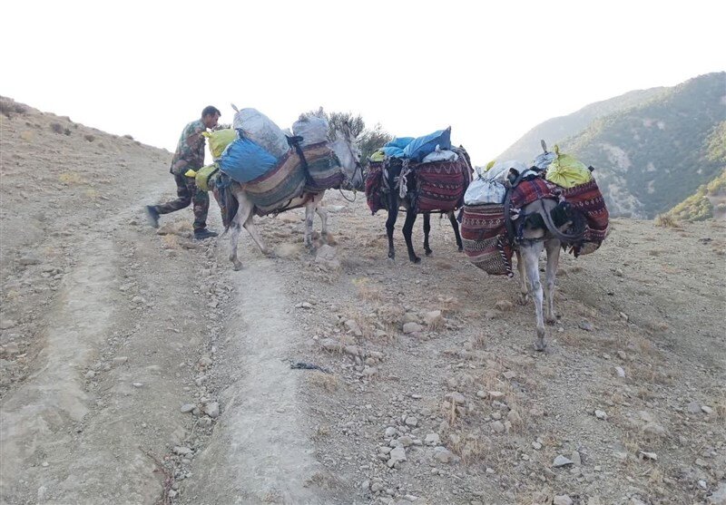 کاروان الاغها توقیف شد! | عکس