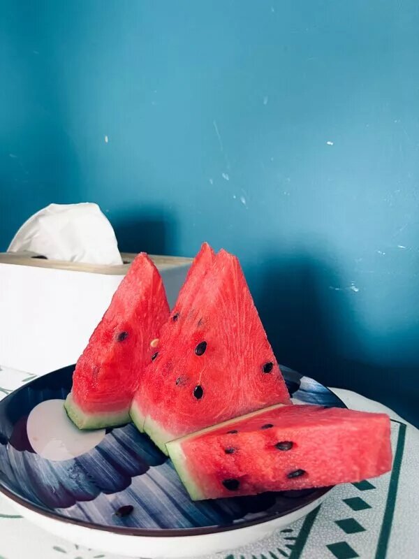 عکسهای برتر مسابقه عکاسی با آیفون | ببینید