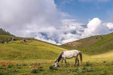 ییلاقات تالش؛‌ بهشت بکر و دست‌نخورده ایران |  بهترین گزینه برای آخرین سفر تابستانی