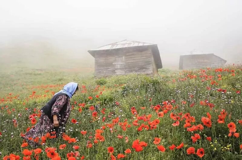 ییلاقات تالش؛ بهشت بکر و دستنخورده ایران |  بهترین گزینه برای آخرین سفر تابستانی