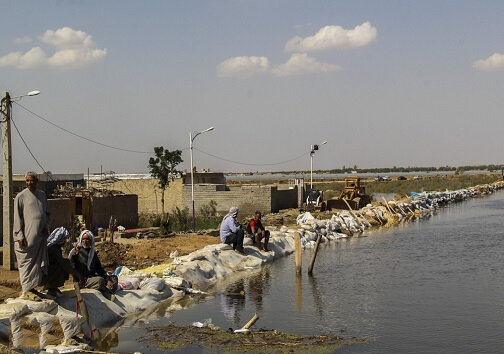 بلای تیلاپیا در پهنه های آبی ایران | مهاجم آفریقایی چگونه آب سدها را آلوده میکند؟ | معدومسازی یک میلیون تیلاپیا در هورالعظیم