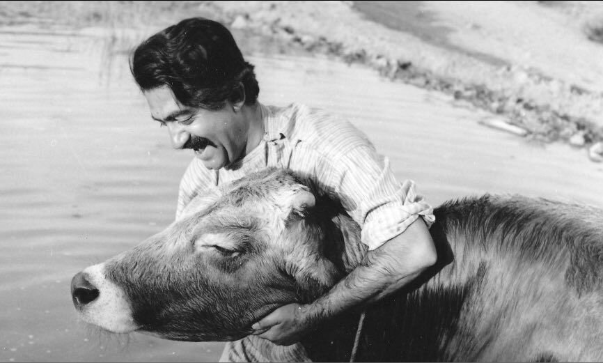 قابهایی ماندگار از سینمای ایران به مناسبت روز ملی سینما