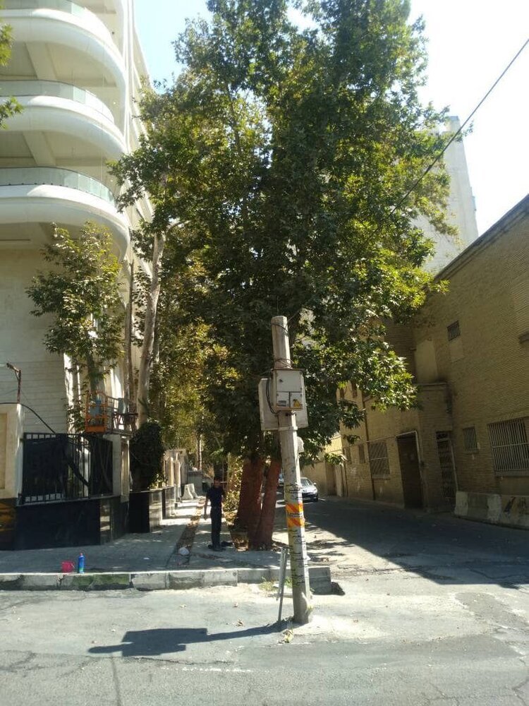 تدوام دروغ پراکنیها